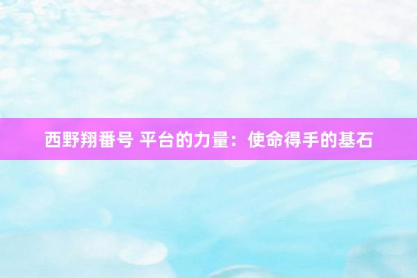 西野翔番号 平台的力量：使命得手的基石