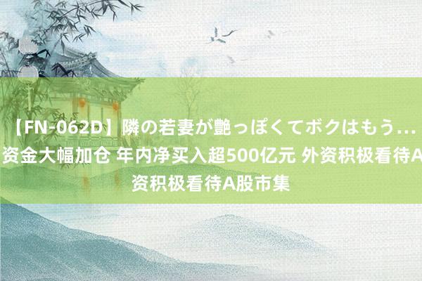 【FN-062D】隣の若妻が艶っぽくてボクはもう… 5 北向资金大幅加仓 年内净买入超500亿元 外资积极看待A股市集