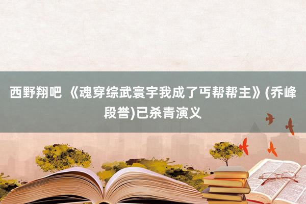 西野翔吧 《魂穿综武寰宇我成了丐帮帮主》(乔峰段誉)已杀青演义
