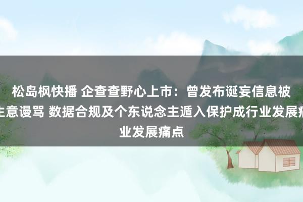松岛枫快播 企查查野心上市：曾发布诞妄信息被指生意谩骂 数据合规及个东说念主遁入保护成行业发展痛点