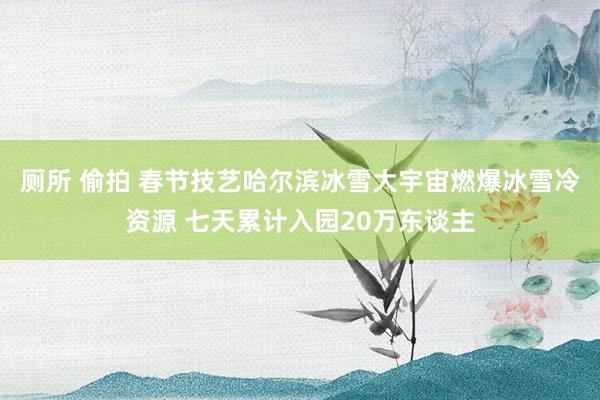 厕所 偷拍 春节技艺哈尔滨冰雪大宇宙燃爆冰雪冷资源 七天累计入园20万东谈主