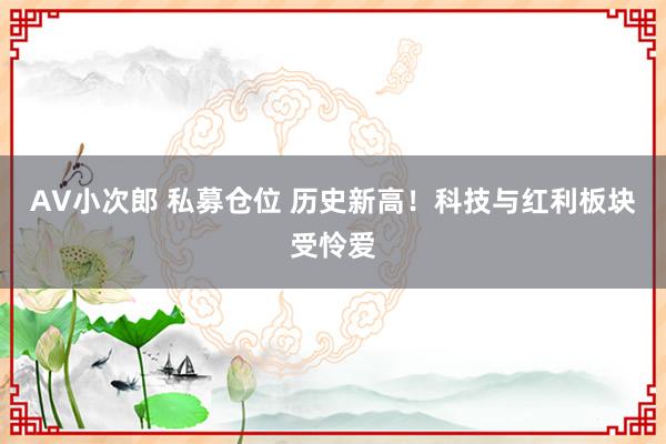 AV小次郎 私募仓位 历史新高！科技与红利板块受怜爱