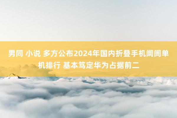 男同 小说 多方公布2024年国内折叠手机阛阓单机排行 基本笃定华为占据前二