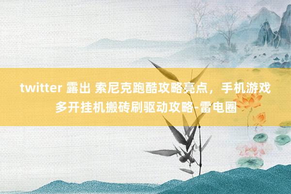 twitter 露出 索尼克跑酷攻略亮点，手机游戏多开挂机搬砖刷驱动攻略-雷电圈
