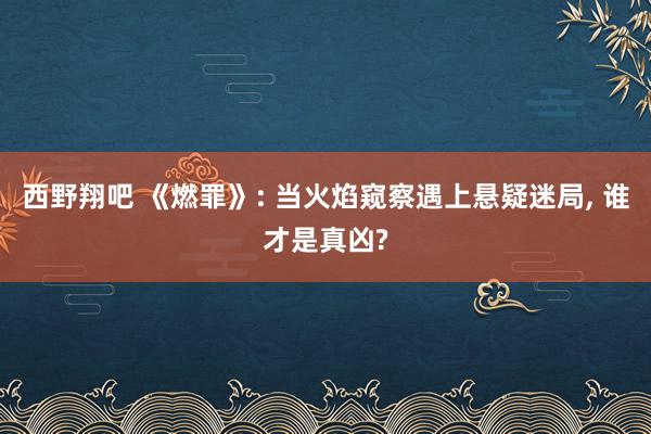 西野翔吧 《燃罪》: 当火焰窥察遇上悬疑迷局， 谁才是真凶?