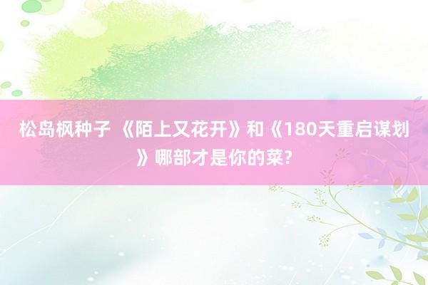 松岛枫种子 《陌上又花开》和《180天重启谋划》哪部才是你的菜?