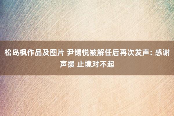 松岛枫作品及图片 尹锡悦被解任后再次发声: 感谢声援 止境对不起