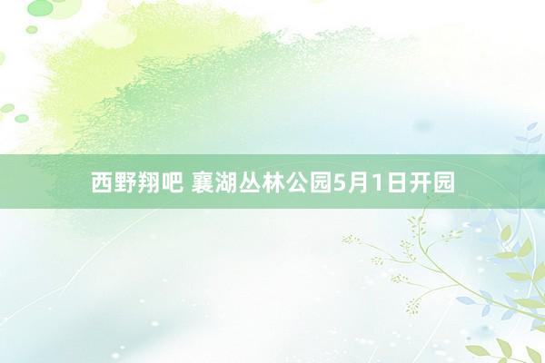 西野翔吧 襄湖丛林公园5月1日开园
