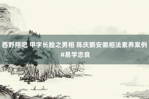 西野翔吧 甲字长脸之男相 陈庆鹏安徽相法素养案例 #易学忠良
