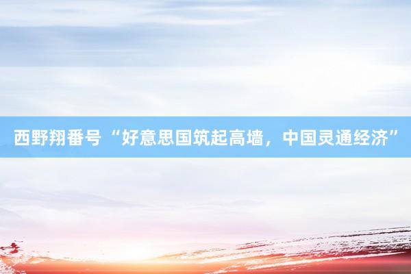 西野翔番号 “好意思国筑起高墙，中国灵通经济”