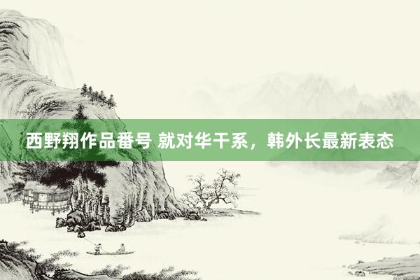 西野翔作品番号 就对华干系，韩外长最新表态
